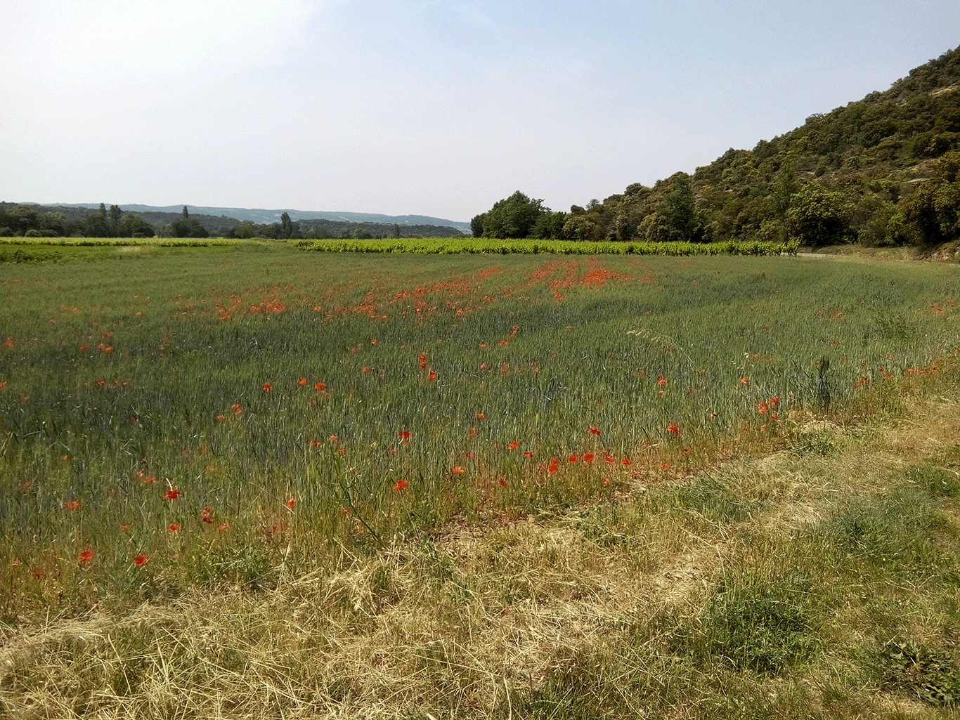 plaine ardechoise